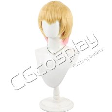 画像4: けものフレンズ　ソンサーバル　コスプレウィッグ　コスプレ衣装 (4)