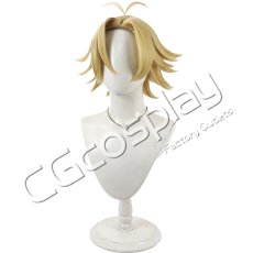 画像4: 桃源暗鬼　桃宮唾切　コスプレウィッグ　コスプレ衣装 (4)