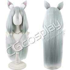 画像1: 超かぐや姫！　忠犬オタ公　コスプレウィッグ　コスプレ衣装 (1)