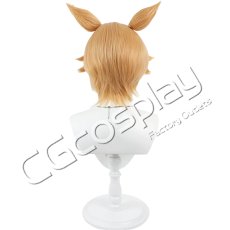 画像5: 桃源暗鬼　桃草蓬　コスプレウィッグ　コスプレ衣装 (5)