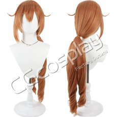 画像1: Fate/Grand Order　FGO　ゴッホマイナー(ランサー)　コスプレウィッグ　コスプレ衣装 (1)