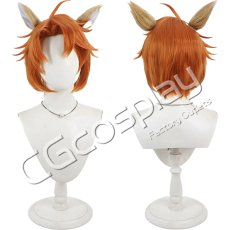 画像1: ツイステッドワンダーランド　チェカ　コスプレウィッグ　コスプレ衣装 (1)