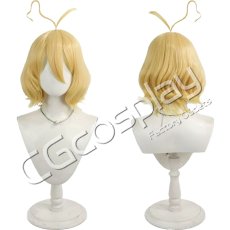 画像1: Dr.STONE　スイカ　コスプレウィッグ　コスプレ衣装 (1)