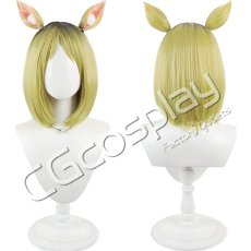 画像1: ヤニねこ　越司丸益子　コスプレウィッグ　コスプレ衣装 (1)