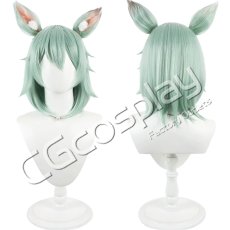 画像1: ヤニねこ　佐藤ヤニ子　コスプレウィッグ　コスプレ衣装 (1)