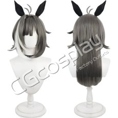 画像1: ウマ娘プリティーダービー　タイトルホルダー　制服　コスプレウィッグ　コスプレ衣装 (1)