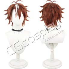画像1: また殺されてしまったのですね、探偵様　追月朔也　コスプレウィッグ　コスプレ衣装 (1)