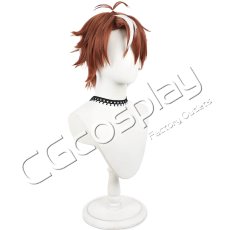 画像3: また殺されてしまったのですね、探偵様　追月朔也　コスプレウィッグ　コスプレ衣装 (3)
